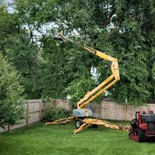 Best Tree Trimming and Pruning  in Liverpool, NY