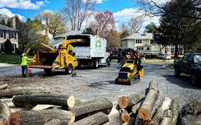 Lawn Drainage Solutions in Liverpool, NY