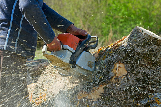 Lawn Irrigation Installation and Maintenance in Liverpool, NY